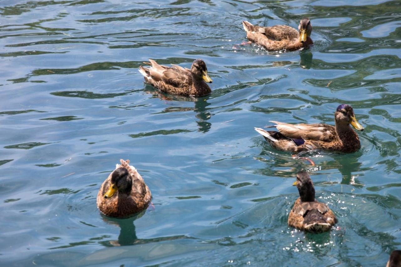 ホテル Le Moulin Du Bleufond モンティニャック エクステリア 写真